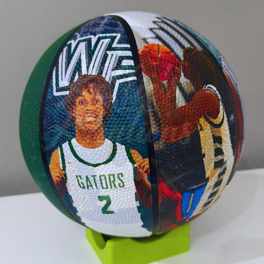 Photo Panel Basketball