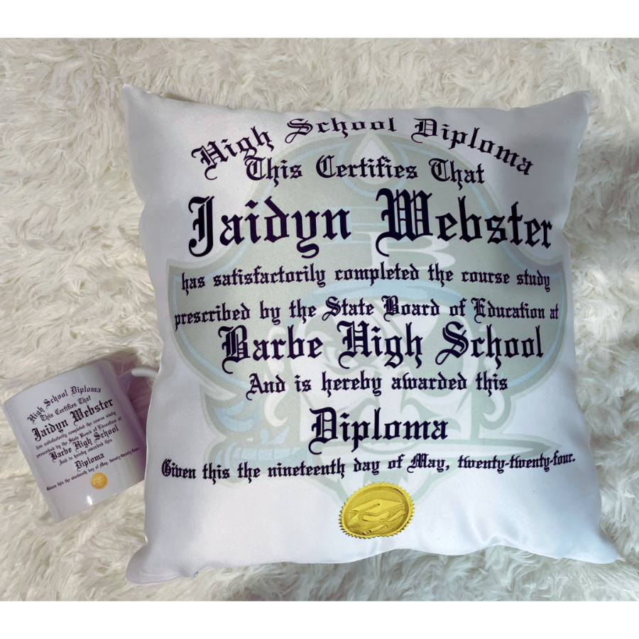 Diploma Pillow