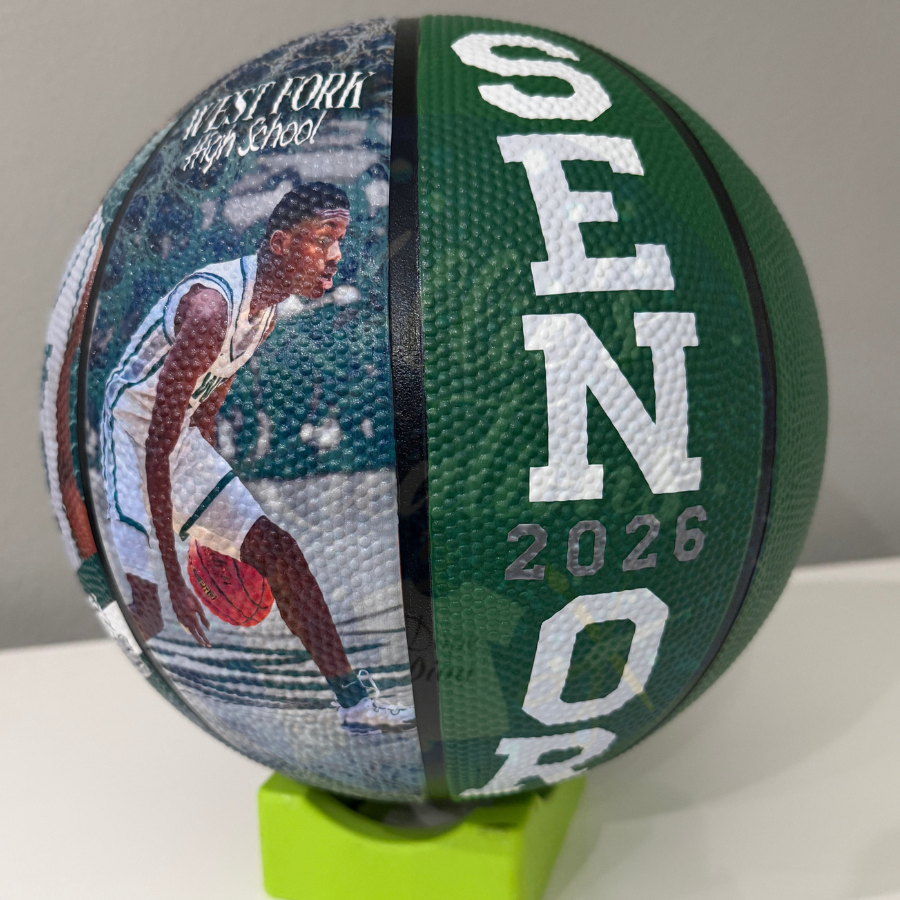 Photo Panel Basketball