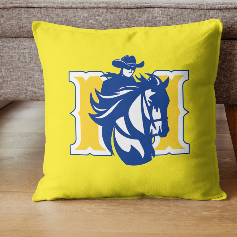 Dorm Pillows