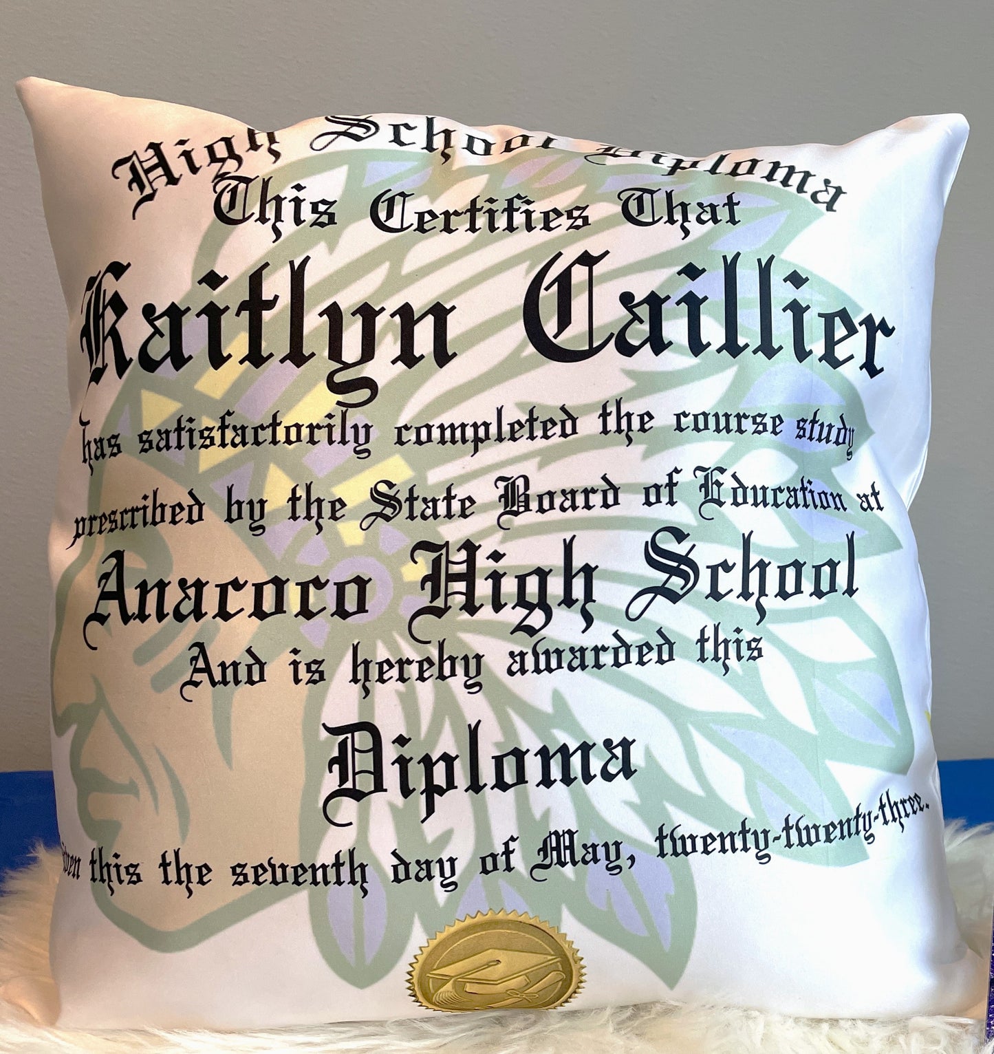 Diploma Pillow