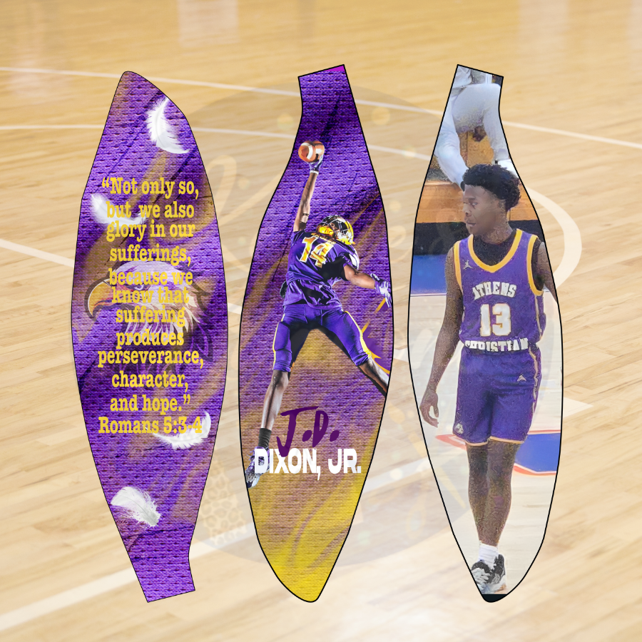 Basketball Photo Panel