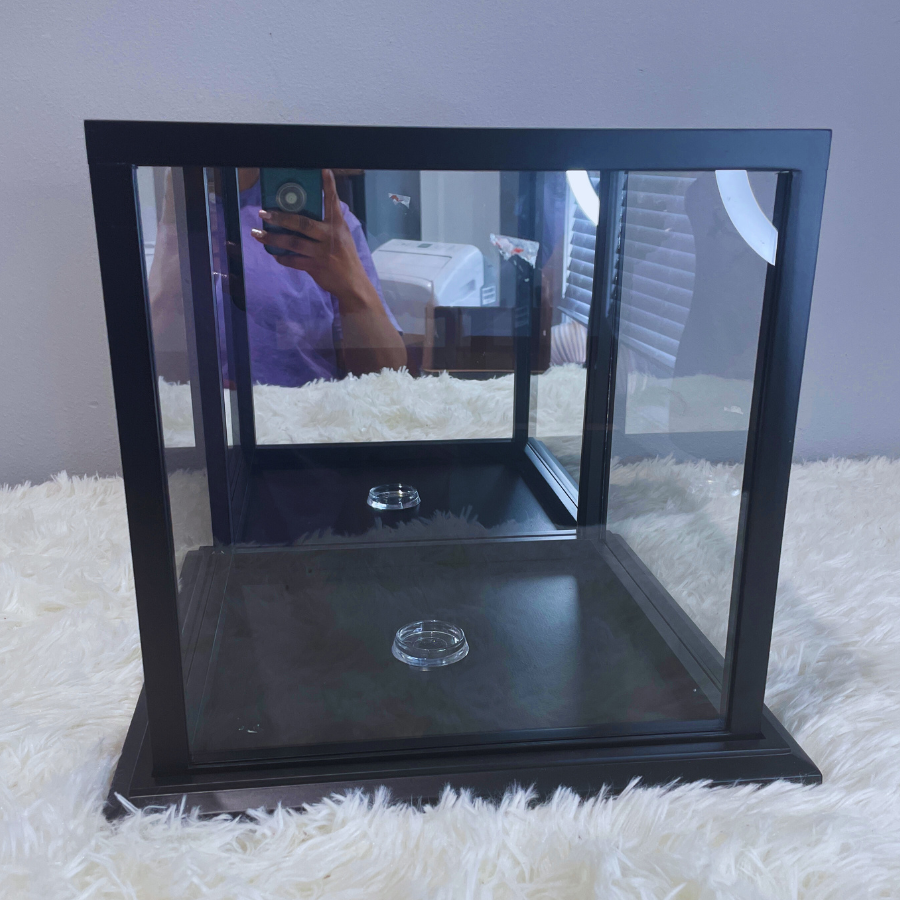 Basketball Display Case
